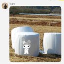 태훈수리 | 1월 마지막주 일상 🍪 (+ 두쫀쿠 / 해방촌 라구 / 용산 에이미베이크샵)