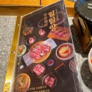 일일양꼬치 | 루원시티 양갈비 일일양 양고기 모듬 잡내 안나는 양고기맛집
