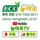 봄철 사과나무 괴롭히는 나무좀 예방법