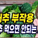 양배추 부작용 이미지