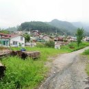 번지농장1번 이미지