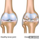 거여경희한의원 이미지