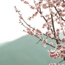 발트 이미지