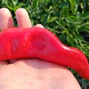 신강농장 이미지