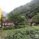 인제 들꽃펜션 이미지