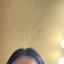 꾸시야 | 샤브샤브 땡기는 월요일이여