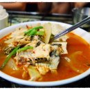 메이즈 뮤지움 이미지