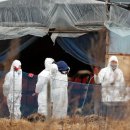 김영선농장 이미지