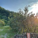 오름카페 이미지