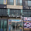 해맞이해안로 | [제주/구좌맛집] 성게보말죽&amp;성게보말칼국수 솔직 후기, 제주 해월정