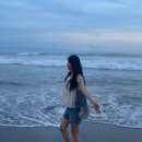 하바이아나스 쪼리: 탑 플립플랍 화이트 후기(슬림 플립플랍과 비교)