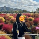 메종드보떼 | [수지/죽전미용실] 메종드보떼 매직후기 / 한결디자이너