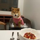 패티드(patted) 네이버블로그