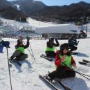 지례초등학교 이미지