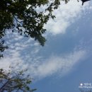 산중정원식당 네이버블로그
