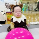 거북이 뿔났다 이미지