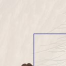 마이오서울안과의원 이미지