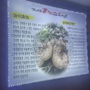 제1능이 버섯전문점 네이버블로그