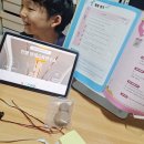 창의 융합 실험 과학 | 온라인 초등과학실험 창의융합 사고력 확장 팩토사이언스 노벨