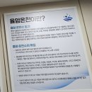 금동굴 황토 참숯가마 | 화성 가볼만한곳 경기도 국내온천 추천, 황토찜질방과 노천탕이 있는 율암온천