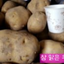 참맑은우리농원