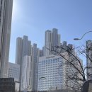 스위트펫 | 소노캄 고양 스위트 펫 프렌들리 객실 내돈내산 후기｜애견 동반 호텔 추천