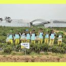 한울타리어린이집 이미지