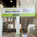 트레이더스 추천 음식 빵 디저트 신상 즉석식품 초밥