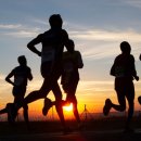 더바른교정운동센터 이미지