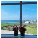 하우목길52 이미지