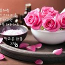 꽃꿈 이미지