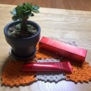 (주)엠지에프아이 이미지