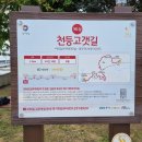 새장터공원 네이버블로그