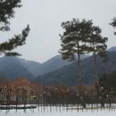 산소클럽 이미지