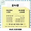 신탄진동 애견카페 시로리 가격 및 후기 추천 리뷰 주차 예약 알아볼까요