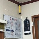 금광횟집 | [울산 무거동] 쫀득한 유비끼 맛집 ‘금광횟집’ 상차림, 가격, 내돈내산 🐟🤍