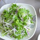 전촌참가자미회 이미지