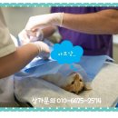 탕정우리약국 이미지