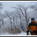 삼영목장 이미지