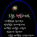 오늘도여기서 이미지