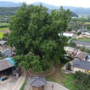 대전1리 마을회관 이미지