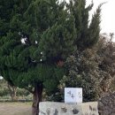 삼달2리 | 제주 스테이애옥 c동 내돈내산 리뷰 제주 동쪽 가성비 감성 숙소 추천