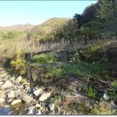 석산약바람산촌생태마을 | 군위팸투어) 석산약바람산촌생태마을 모노레일