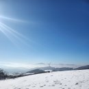 선구목장 이미지
