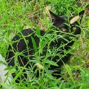 대학1번약국 이미지