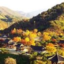 세신주유소 이미지