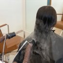 제이진헤어 네이버블로그