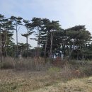 화진포역사안보전시관 | [고성 화진포 화진포역사안보전시관] 이승만 정권의 2인자, 이기붕 별장