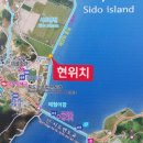 옹진해머금 이미지