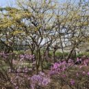 서초1동 주민센터 이미지